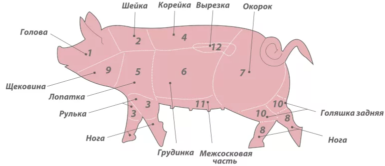 Схема разделки свинины